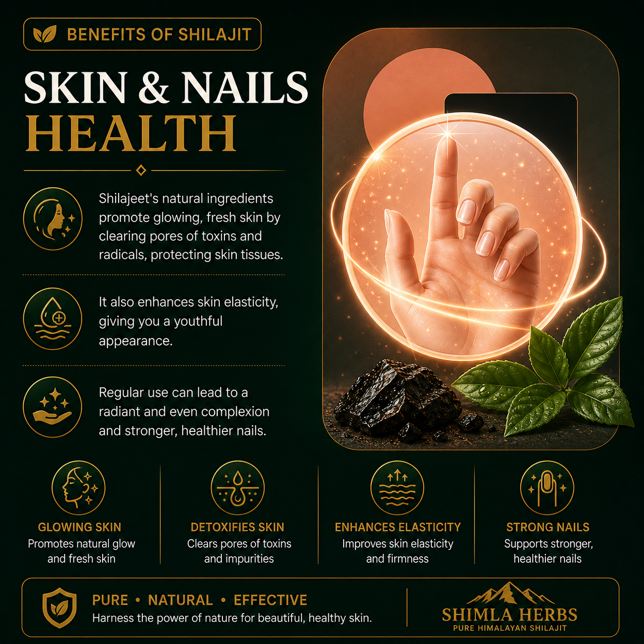 Mineral & Nutrient Absorption